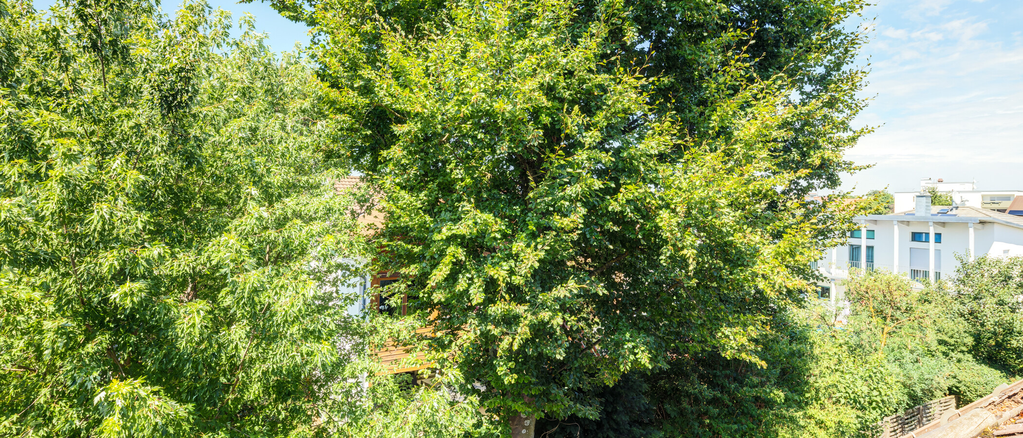 attico Germering 04 vista 14946