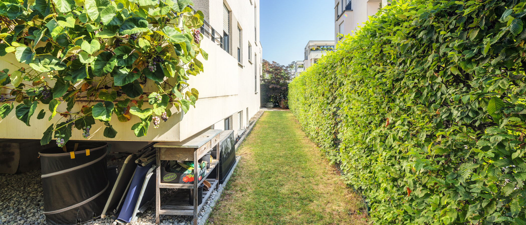 maisonette München Oberföhring 03 giardino 14969