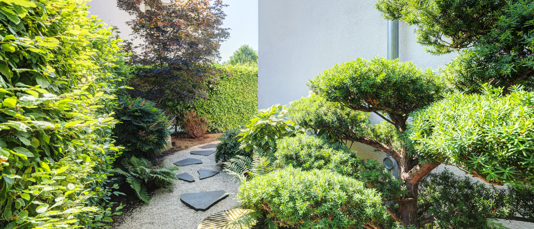 maisonette München Oberföhring 04 giardino 14969