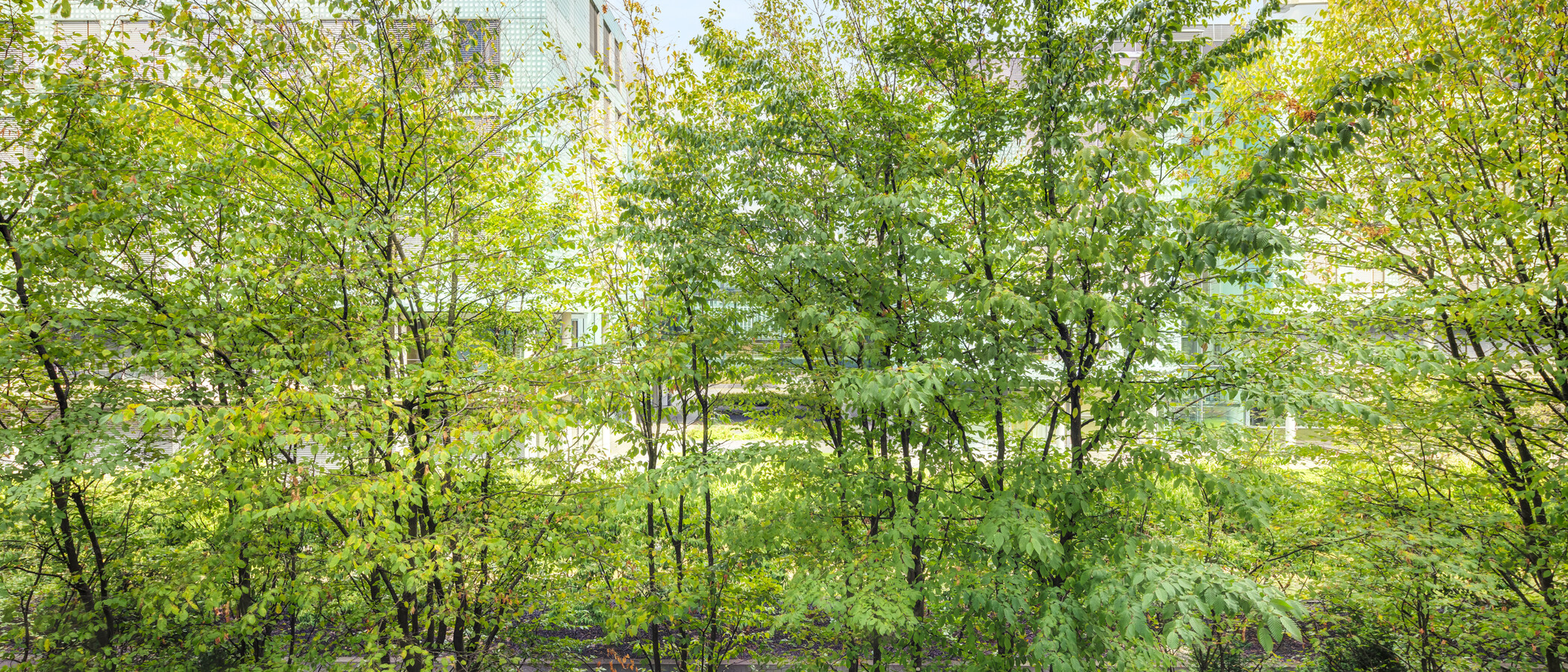 appartamento München Schwanthalerhöhe 03 vista 15032