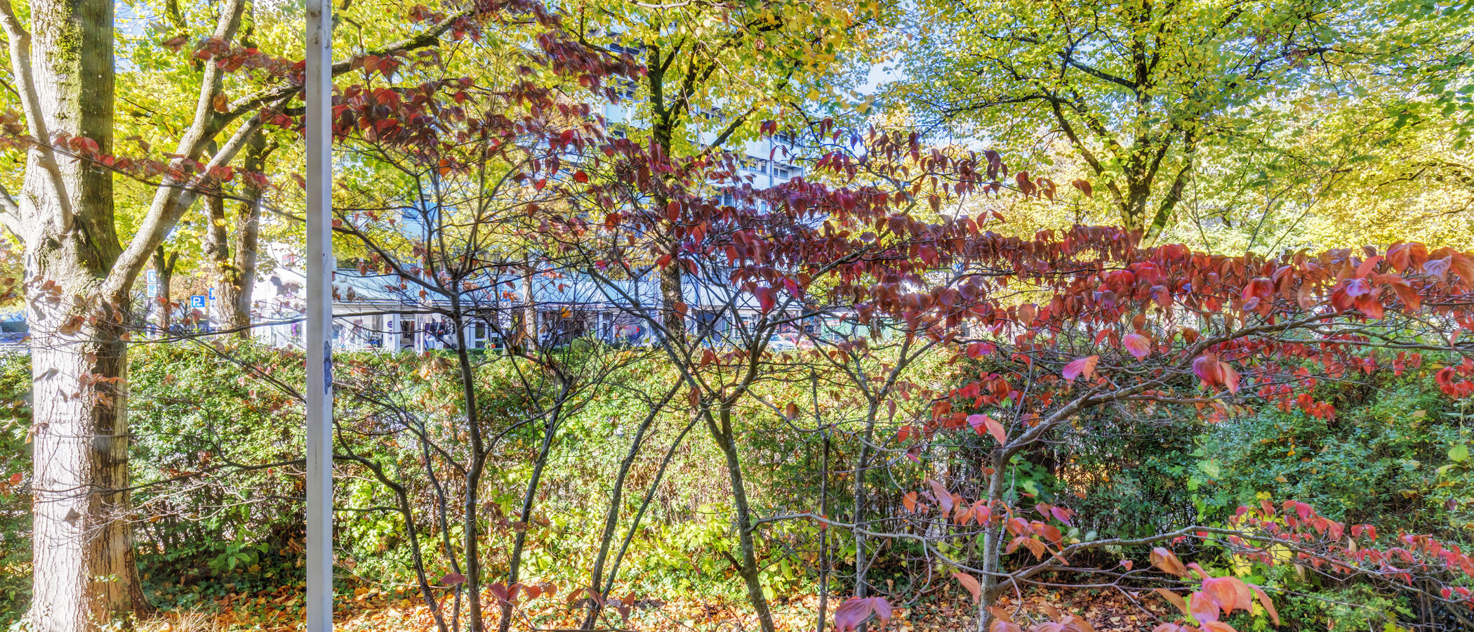 appartamento München Fürstenried 01 vista 15055