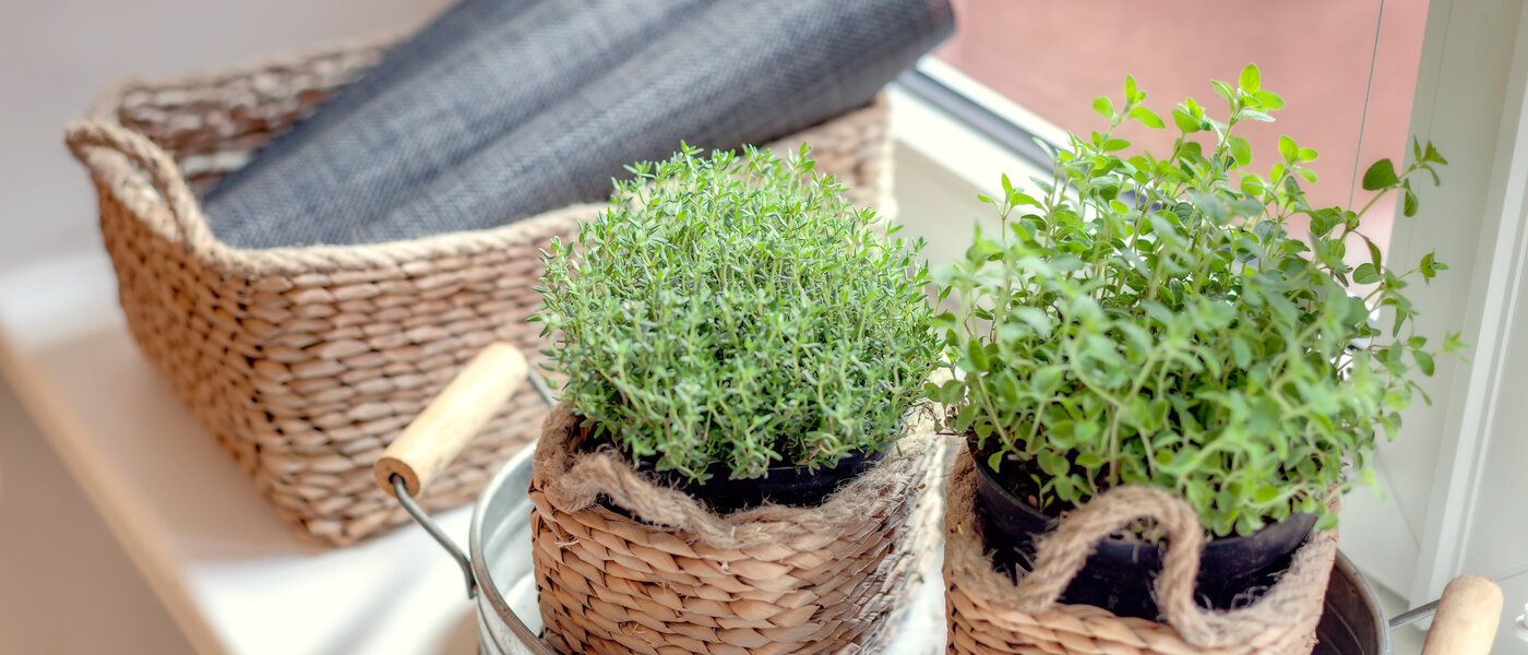 appartamento München Gärtnerplatzviertel 04 cucina 1590