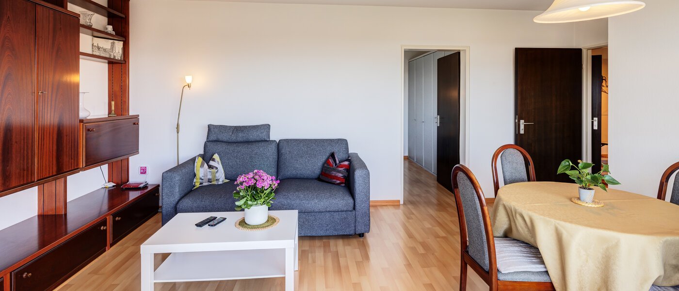 appartamento München Haidhausen 03 zona living 2047