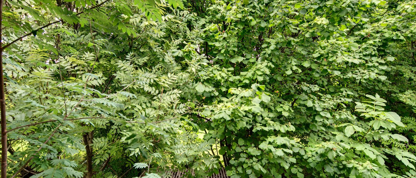 appartamento München Großhadern 04 vista 2051