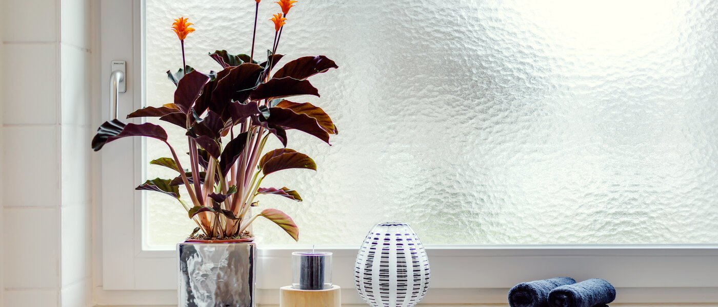 appartamento München Solln 02 bagno 227