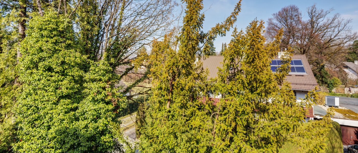 appartamento München Solln 03 vista 2378