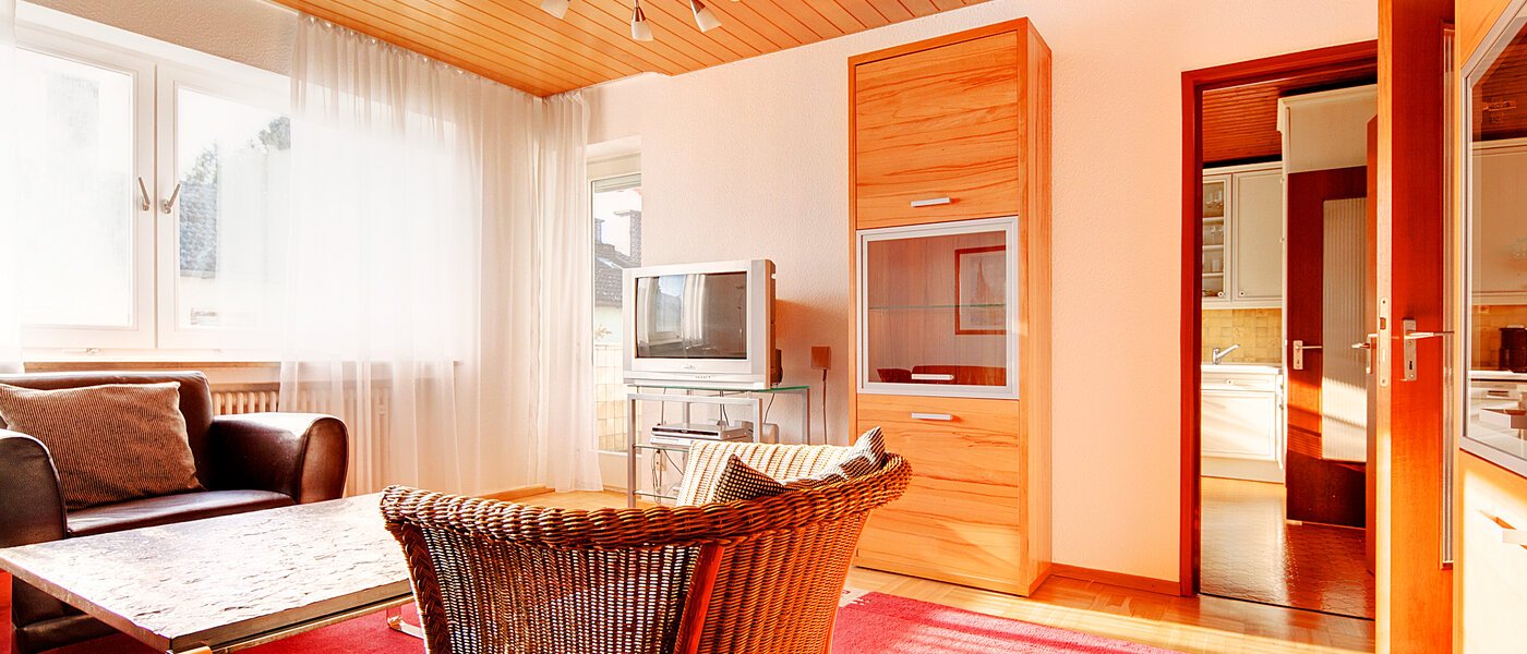 appartamento München Solln 03 soggiorno 2453