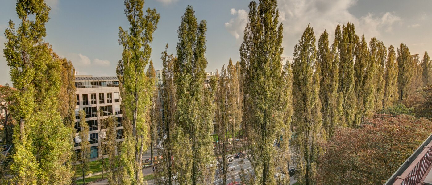 appartamento München Schwabing (rechts der Leopoldstraße) 01 vista 2486