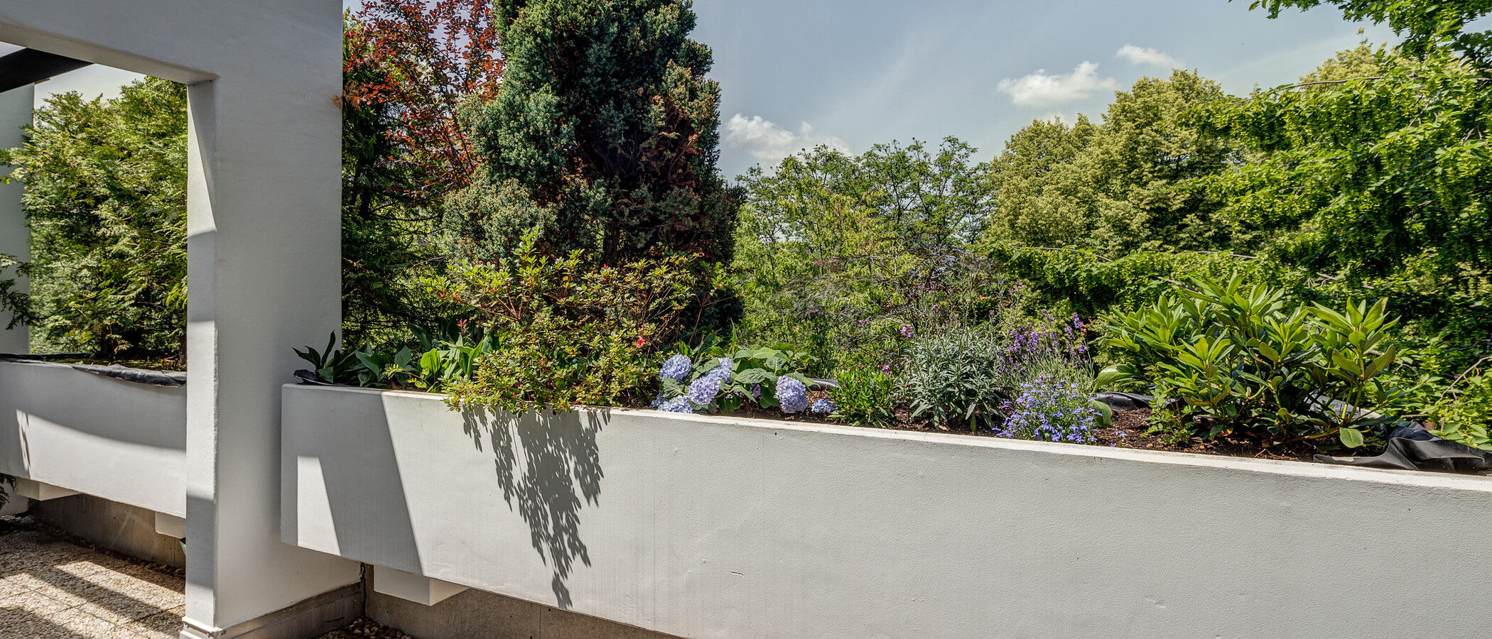 attico con terrazzo München Neuhausen 02 terrazza 2774