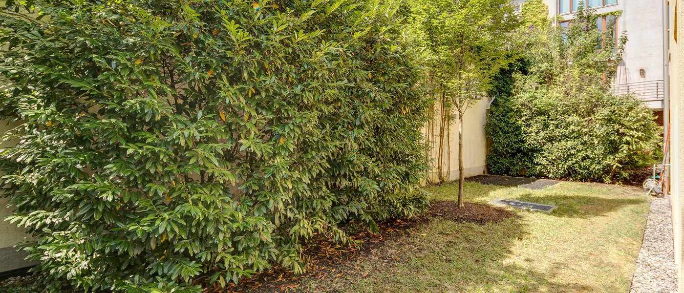 casa a schiera München Schwabing (links der Leopoldstraße) 02 giardino 3396