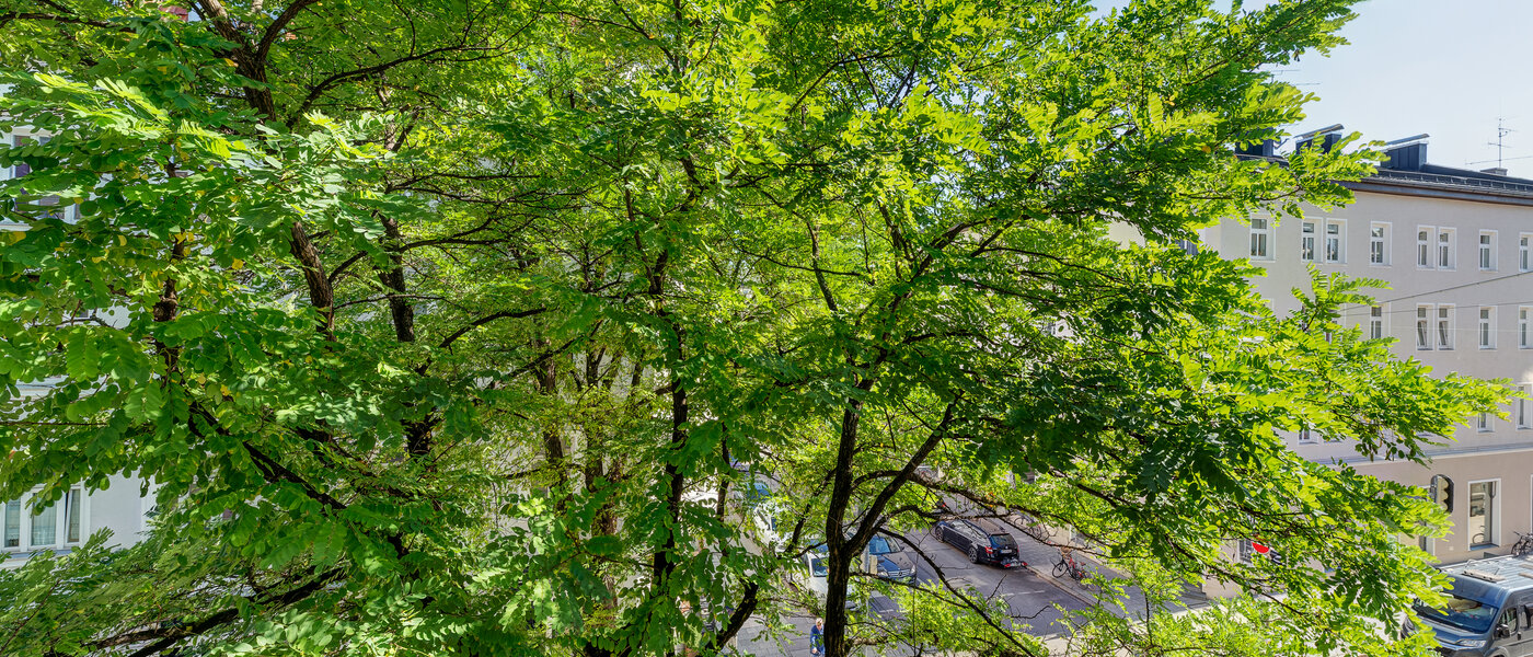 appartamento München Maxvorstadt - Universitätsviertel 01 vista 3592