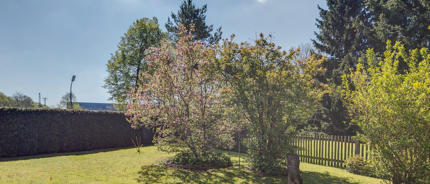 appartamento München Moosach 01 giardino 402