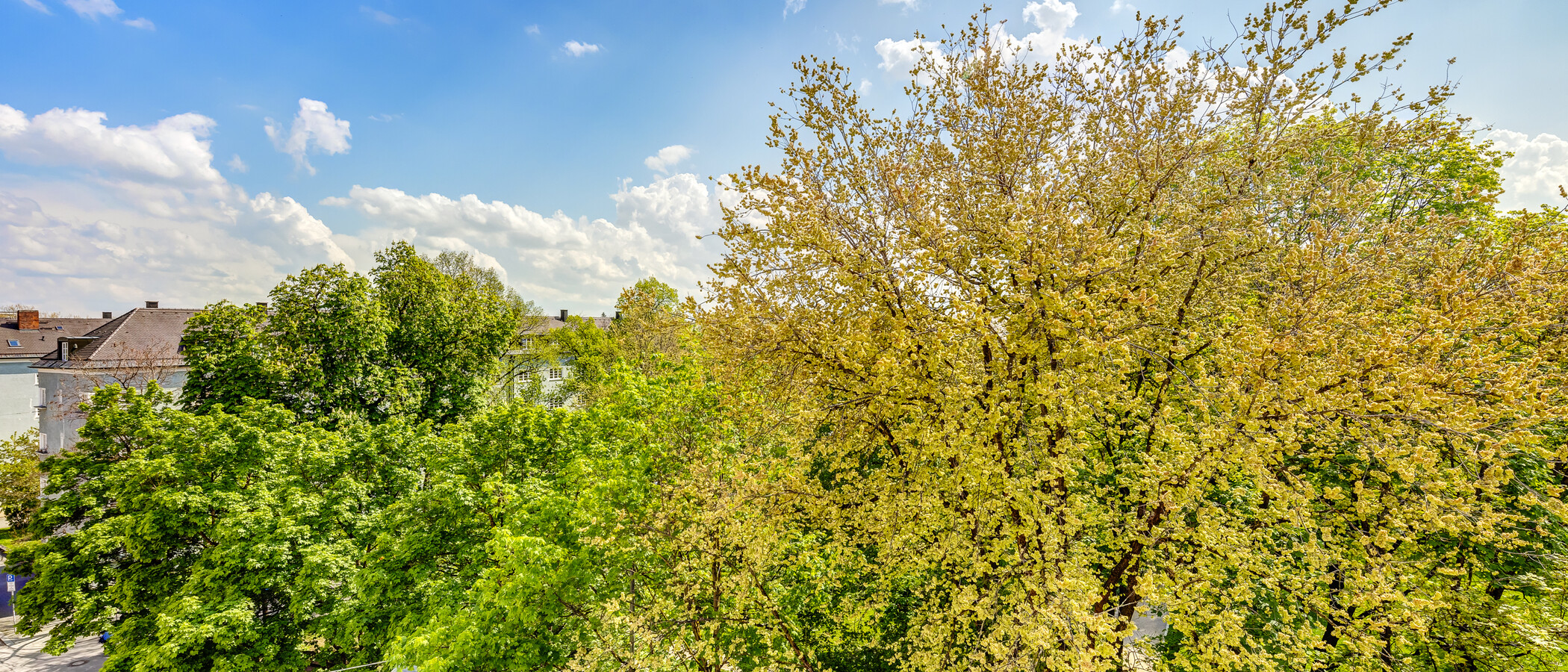 attico München Obergiesing 02 vista 4141