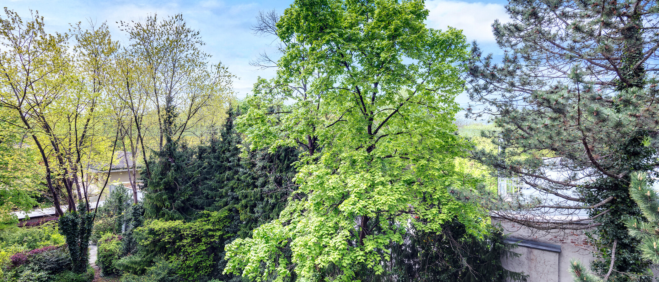 appartamento München Schwabing-Nord (zw. Leopoldstraße & Englischen Garten) 01 vista 4452