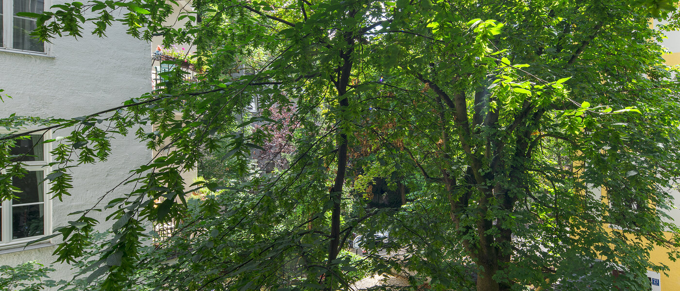 appartamento München Schwabing-West (rund um den Hohenzollernplatz) 02 vista 4507