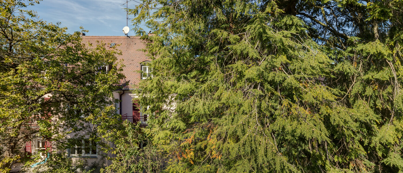 appartamento München Nymphenburg-Gern 02 vista 4670