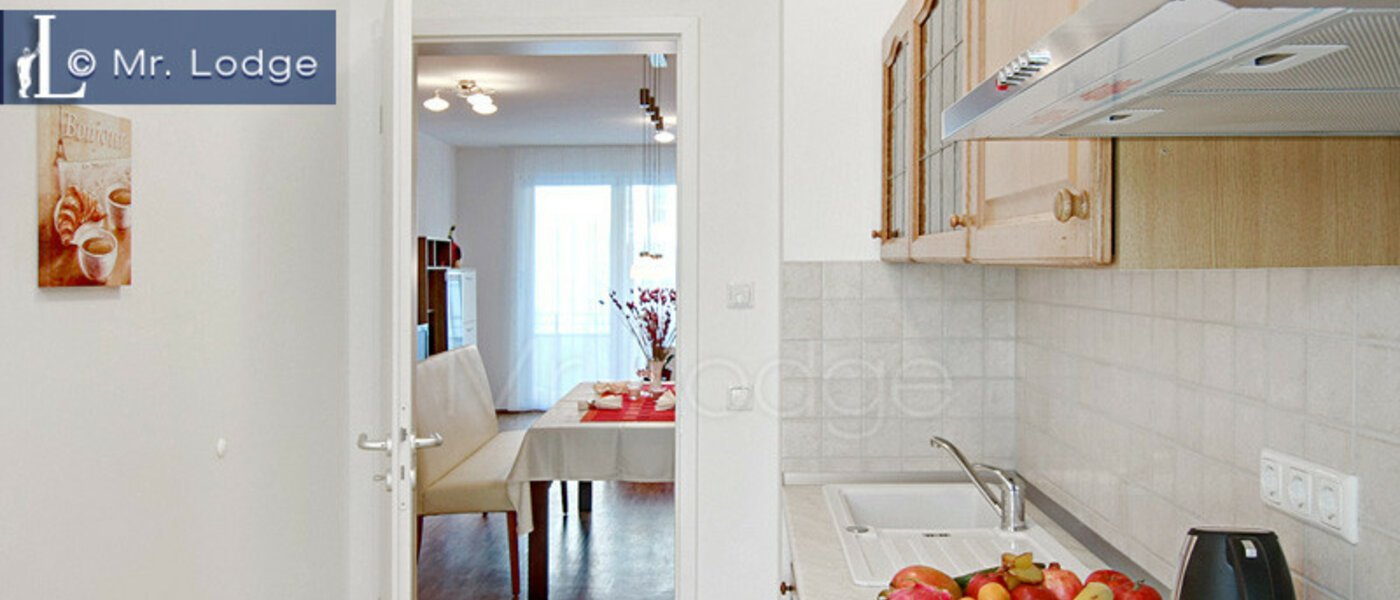 appartamento München Maxvorstadt - Westen 02 cucina 4883