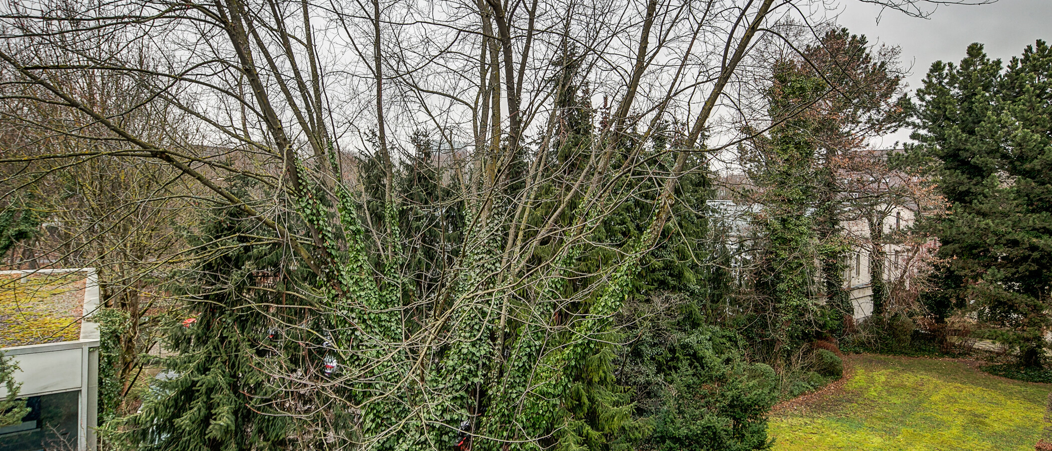 appartamento München Schwabing-Nord (zw. Leopoldstraße & Englischen Garten) 03 vista 4892