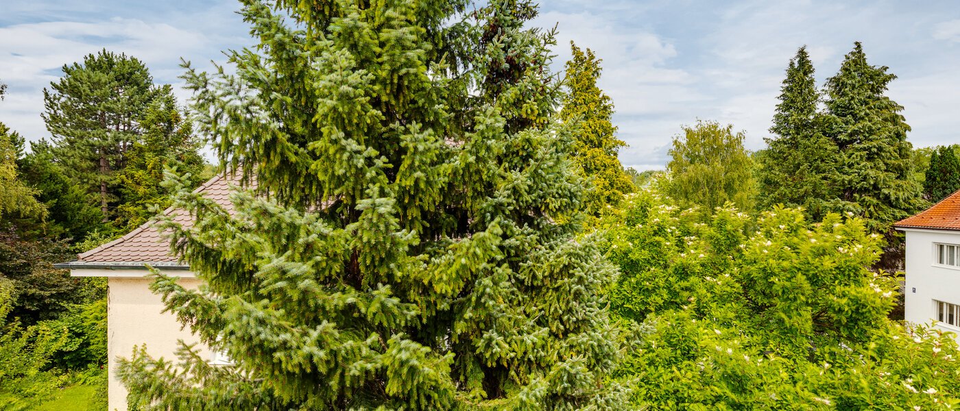 appartamento con galleria München Freimann 05 vista 5027