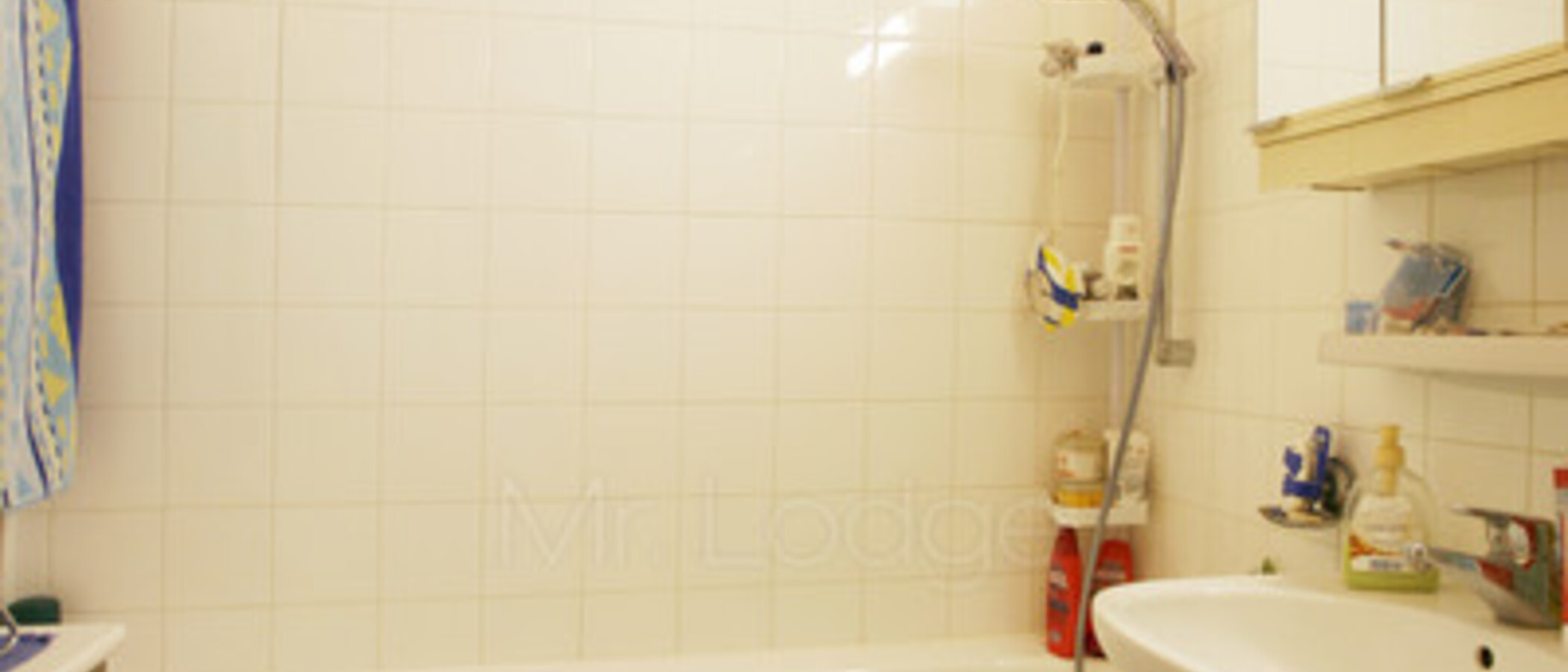 appartamento München Schwabing-Georgenschwaige 01 bagno 5164