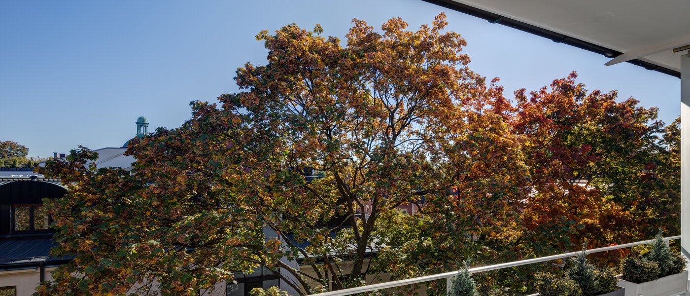 appartamento München Schwabing (links der Leopoldstraße) 02 vista 5263