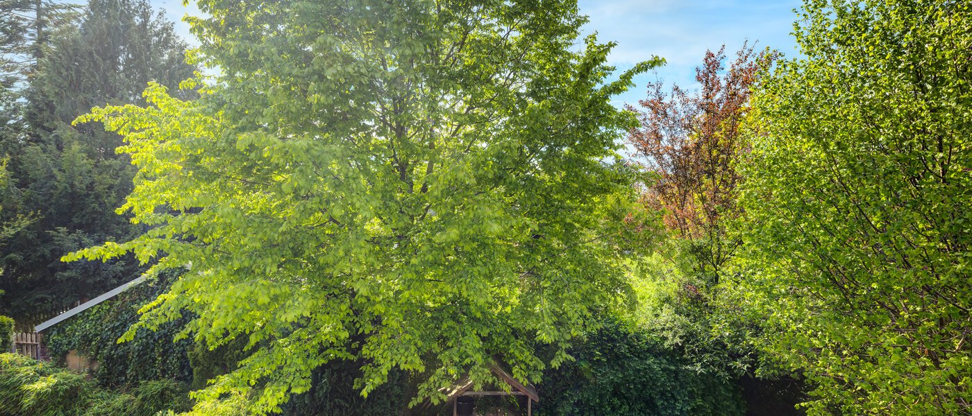 casa a schiera München Westpark 02 vista 5296