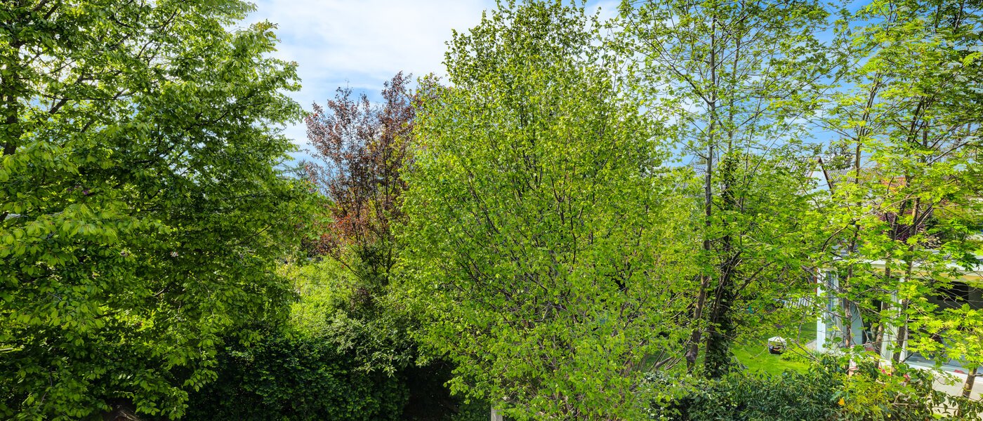 casa a schiera München Westpark 03 vista 5296