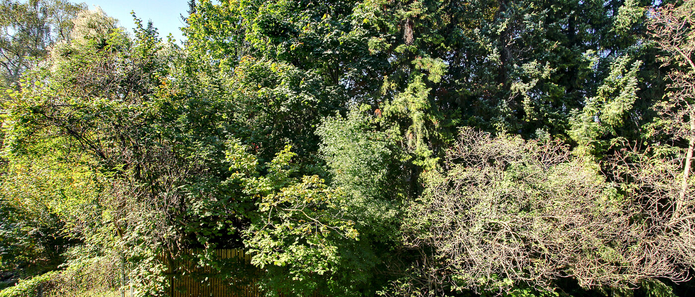 appartamento München Schwabing 01 vista 5794