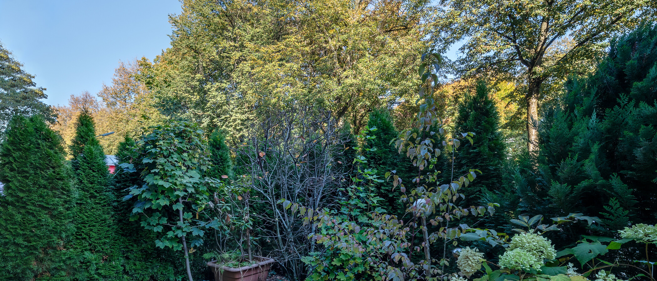 abitazione München Milbertshofen 02 giardino 5833