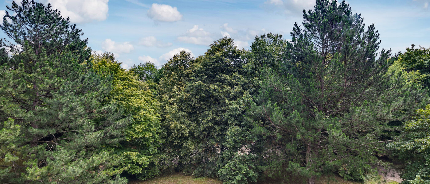 appartamento München Moosach 01 vista 5951