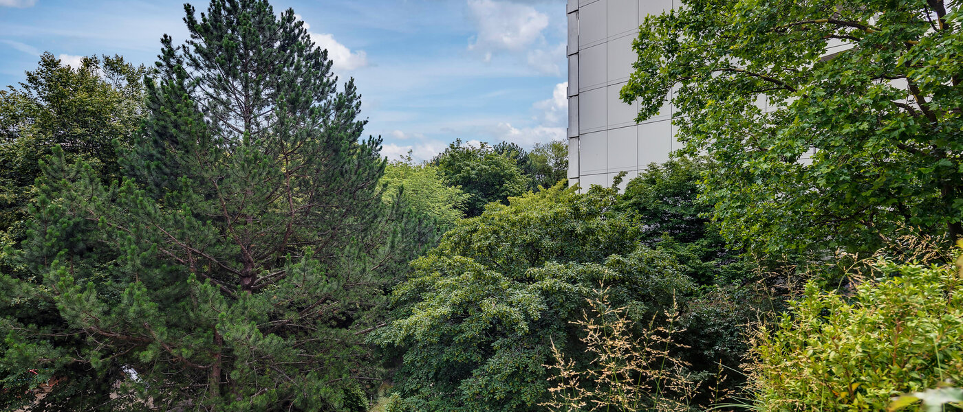 appartamento München Moosach 03 vista 5951