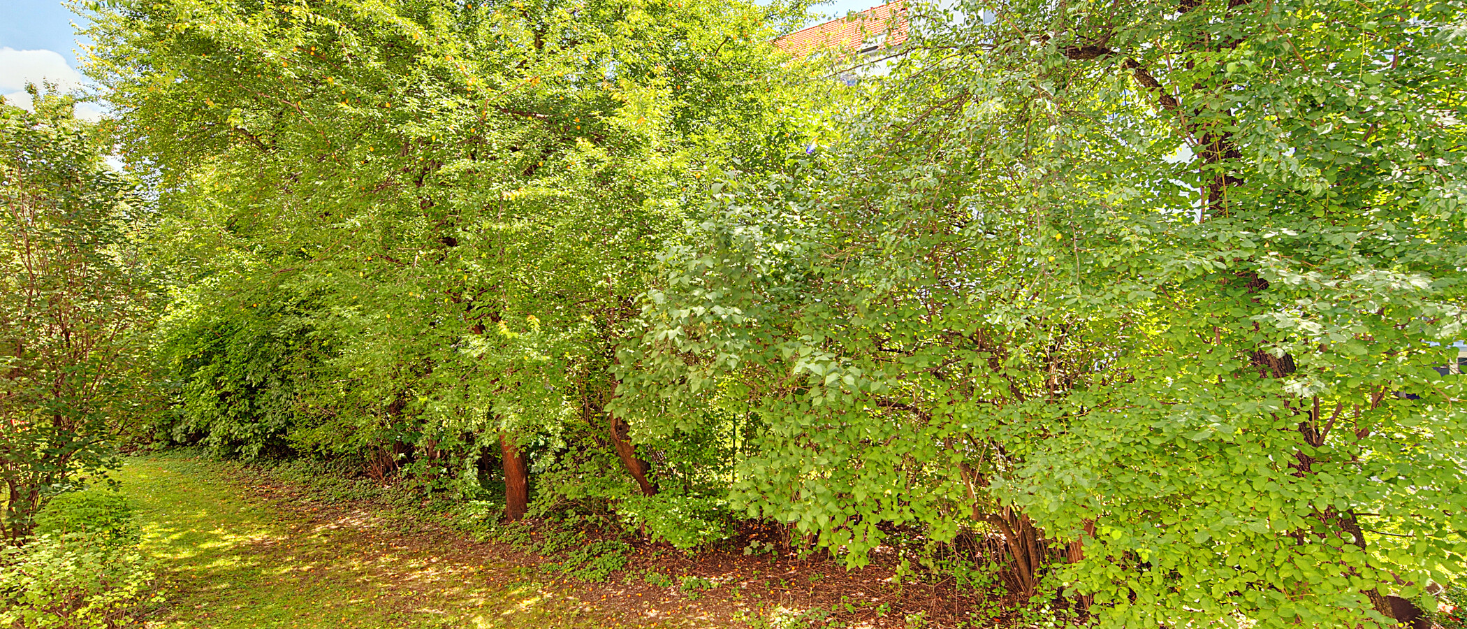 appartamento München Schwabing - Alte Heide 01 vista 6261