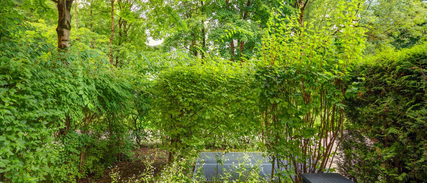 appartamento München Haidhausen 01 vista 6448