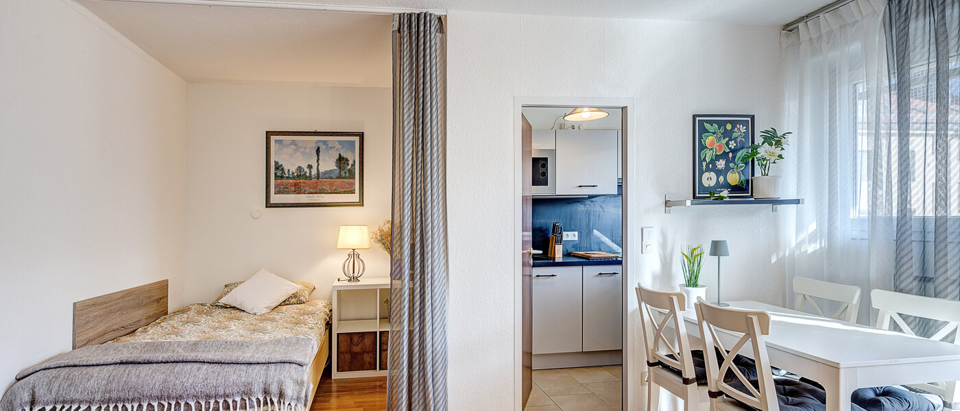 appartamento München Maxvorstadt - Universitätsviertel 04 zona living 6485