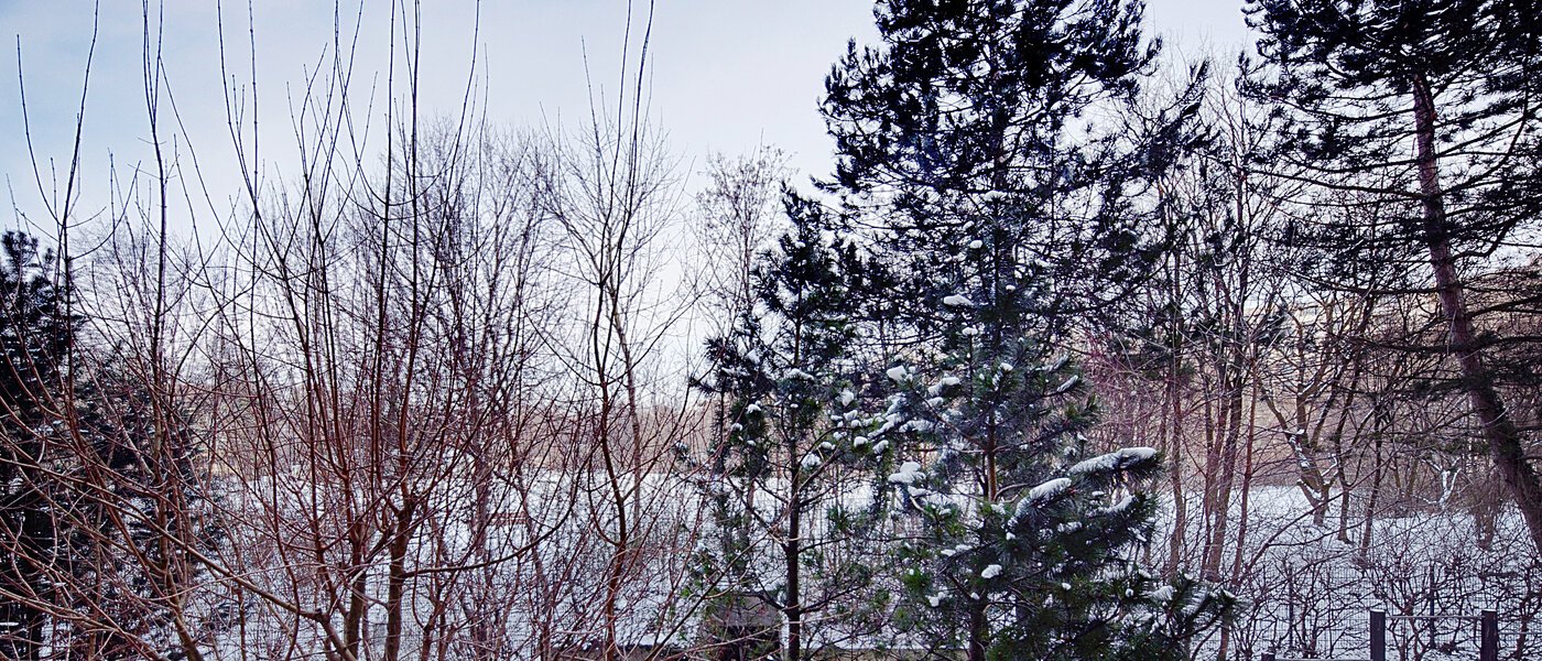 appartamento München Haidhausen 02 vista 6637