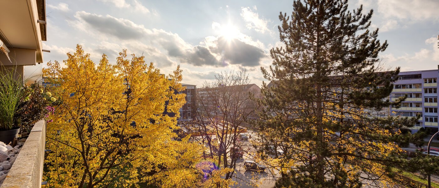 appartamento München Schwabing 02 vista 7050