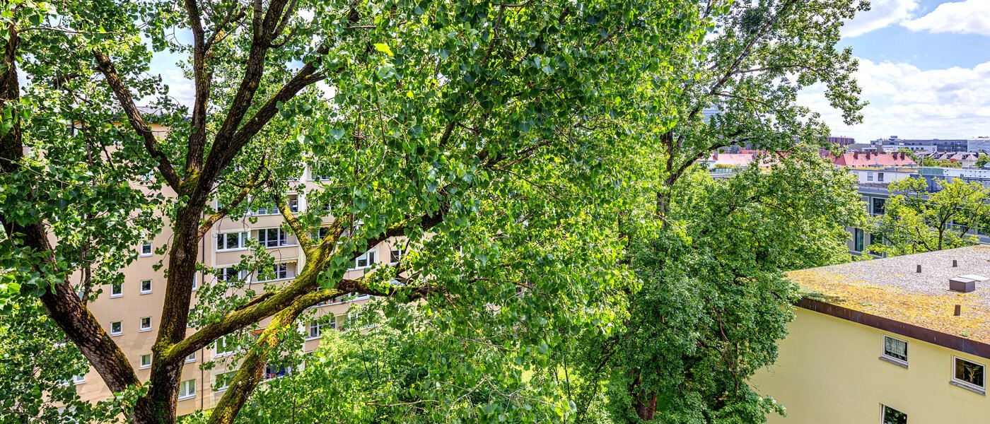 appartamento München Bogenhausen 04 vista 7308