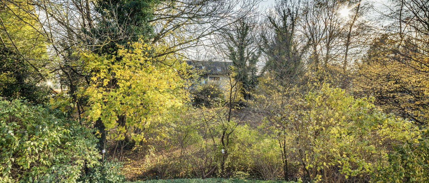 maisonette München Fasanerie 01 vista 7475