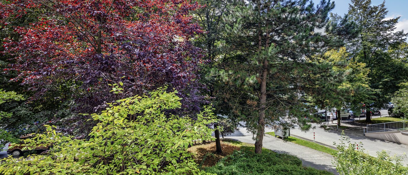 appartamento München Haidhausen 02 vista 7905