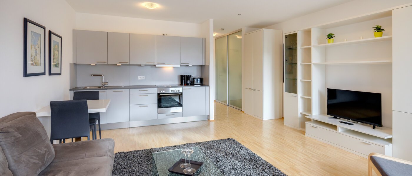 appartamento München Obergiesing 02 zona living 8005