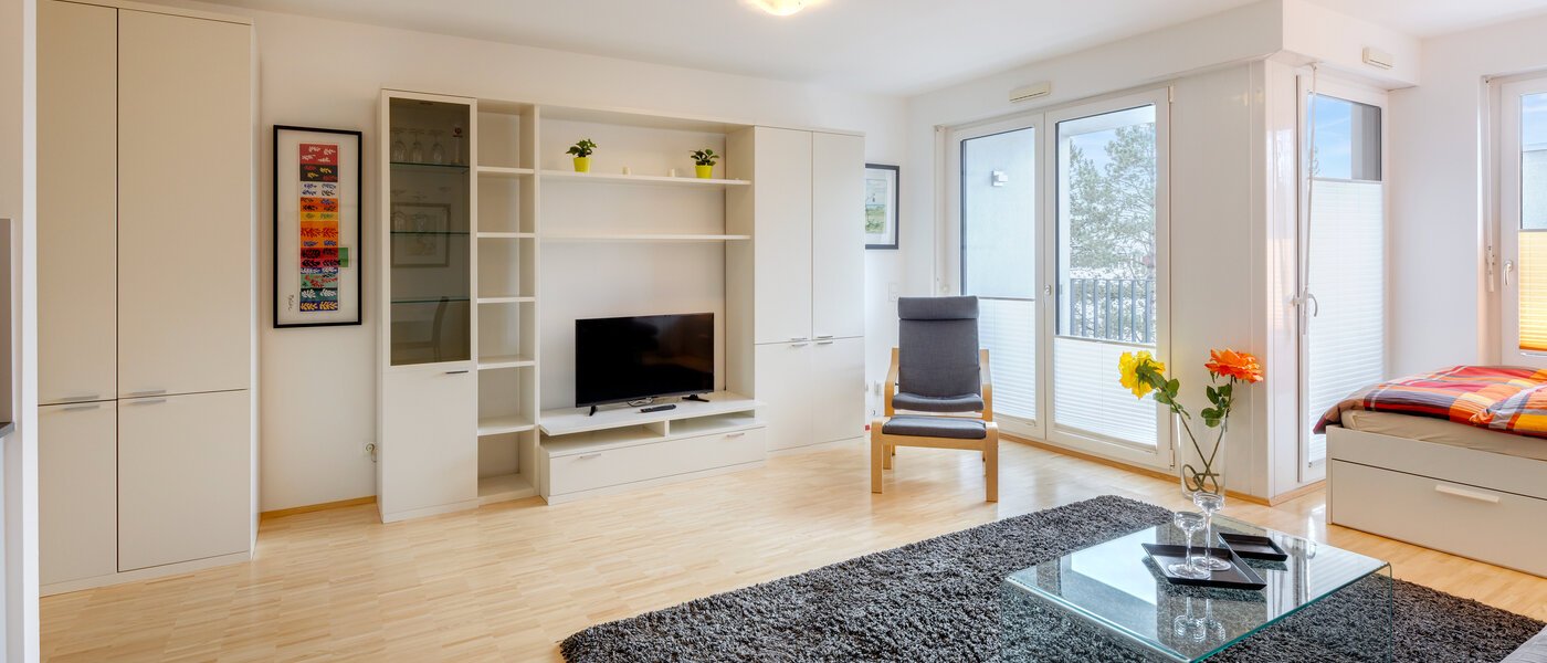 appartamento München Obergiesing 03 zona living 8005