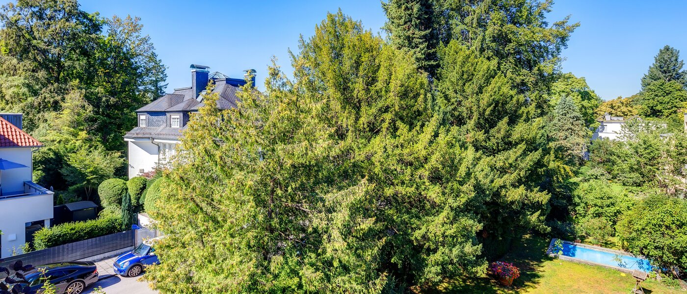 attico München Menterschwaige 01 vista 8181