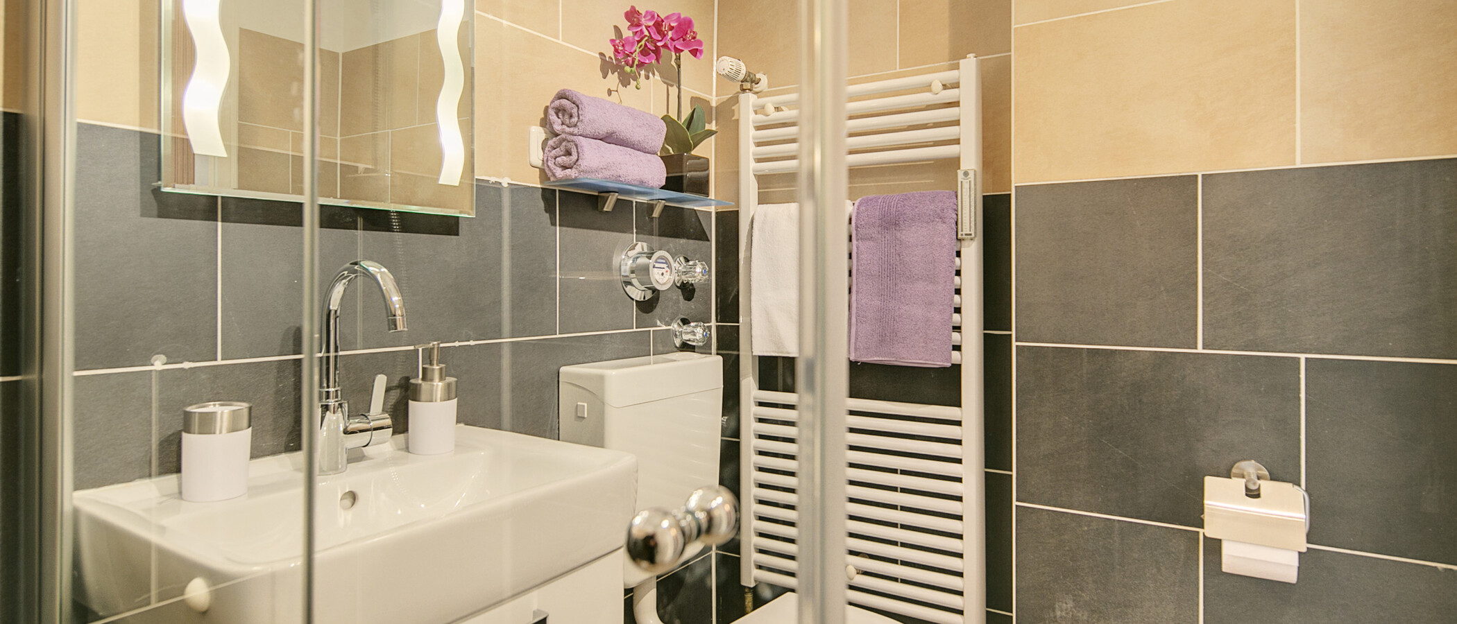appartamento con giardino München Maxvorstadt 02 bagno 8378