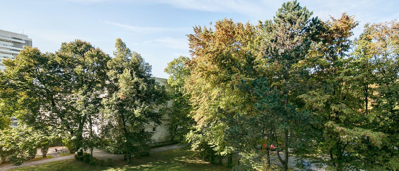 appartamento München Englschalking 01 vista 8399