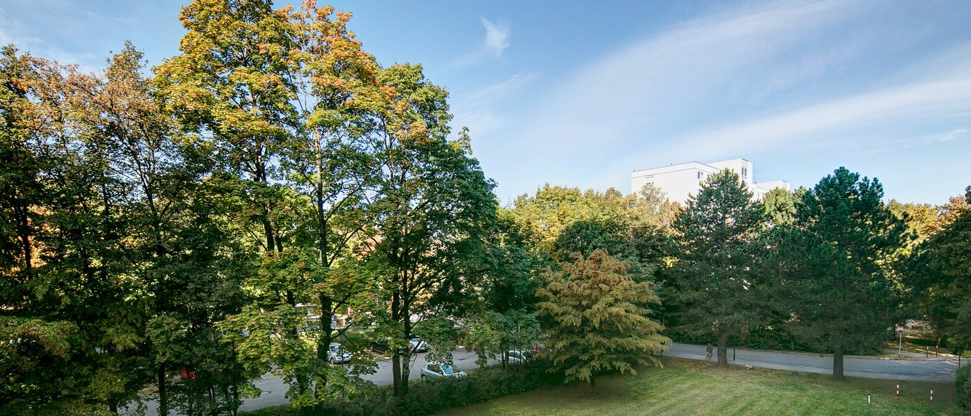 appartamento München Englschalking 02 vista 8399