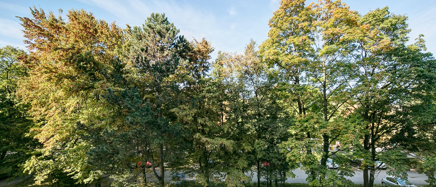 appartamento München Englschalking 03 vista 8399