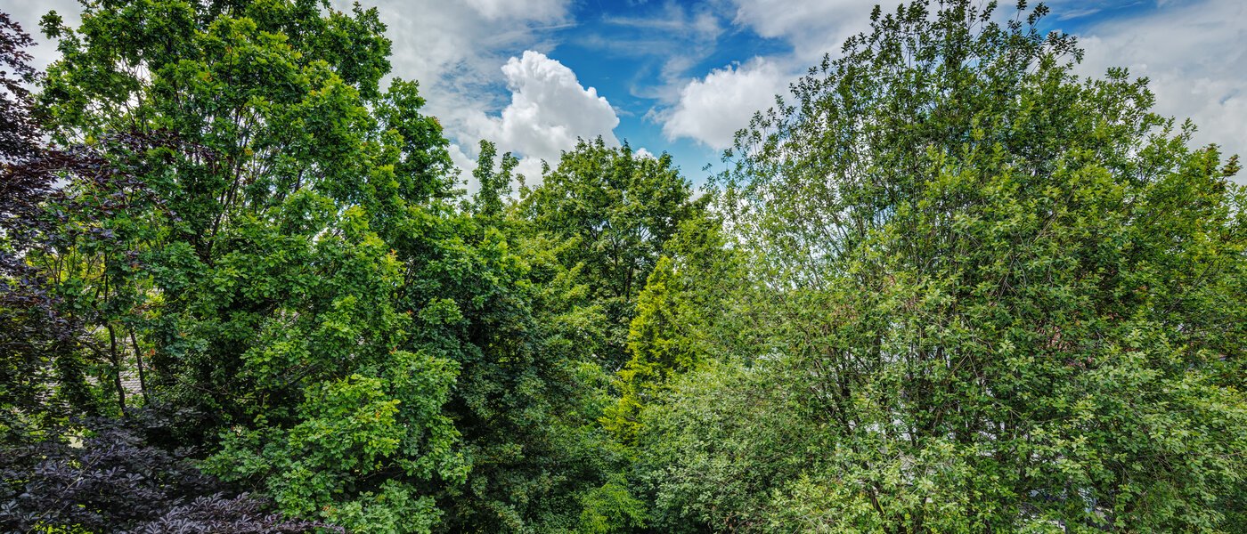 appartamento München Ramersdorf 02 vista 8588