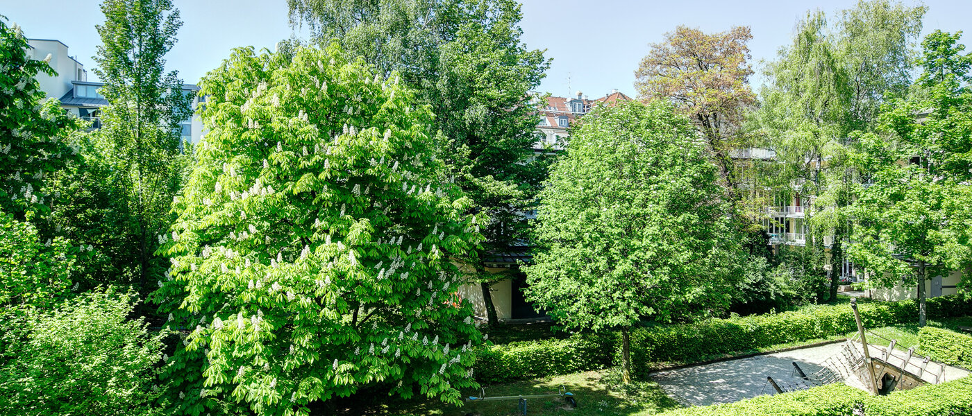 appartamento München Maxvorstadt - Universitätsviertel 02 vista 8629