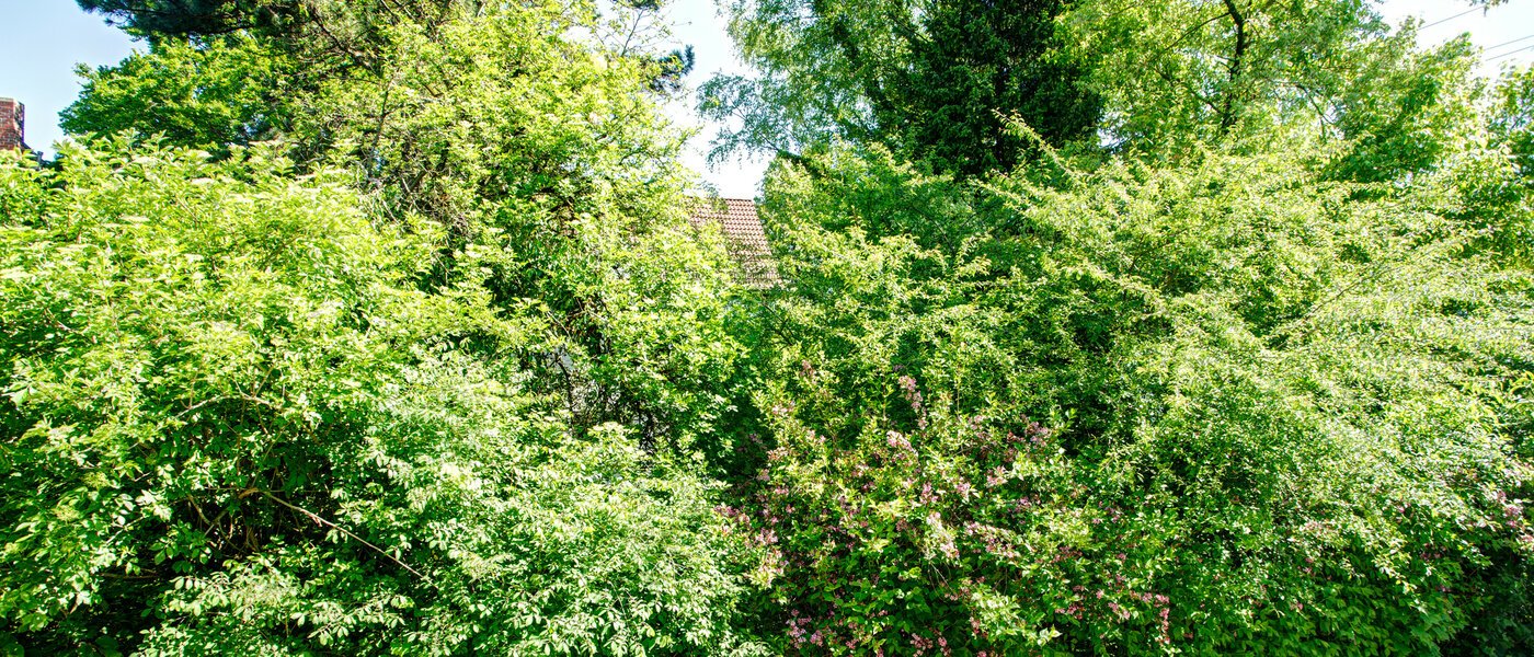 appartamento München Freimann 04 vista 8673