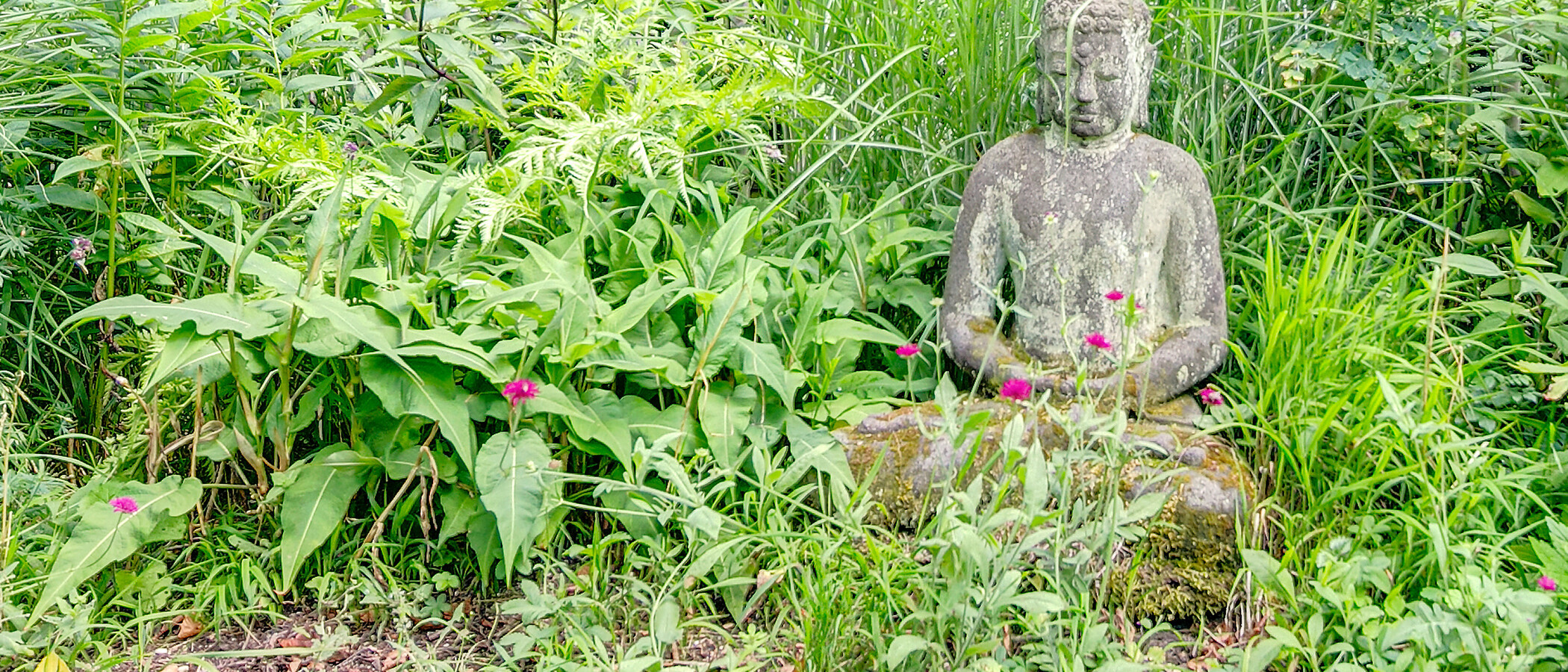 casa Gräfelfing 05 giardino 8778